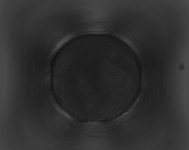 X0000091881450200710031111