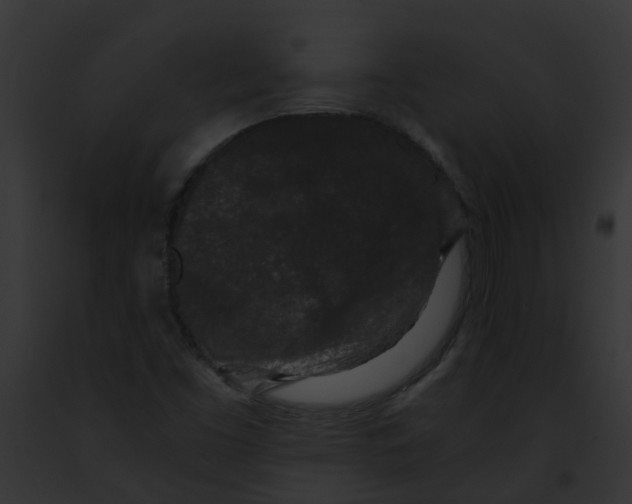 X0000091881453200710031111