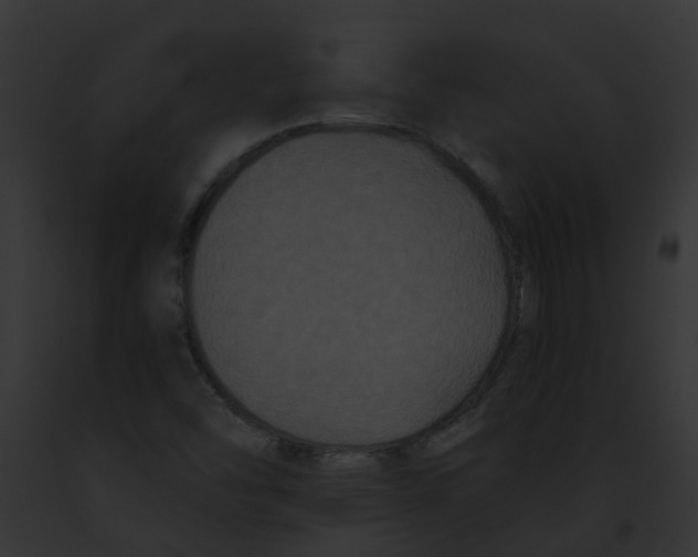 X0000091881454200710031111