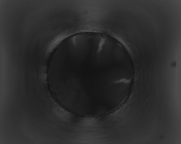 X0000091881455200710031111