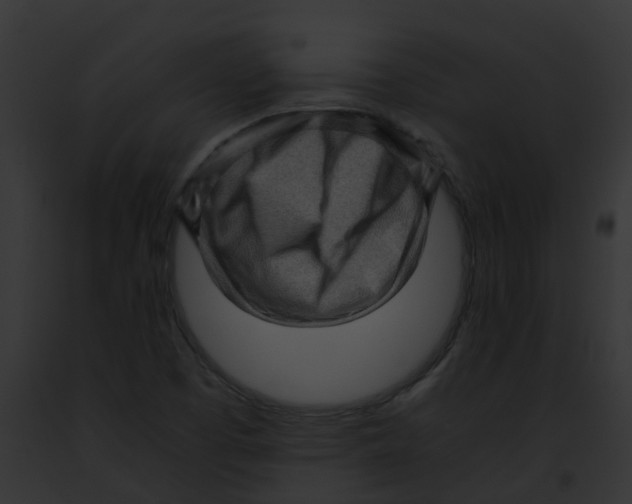 X0000091881457200710031111