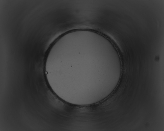 X0000091881460200710031111