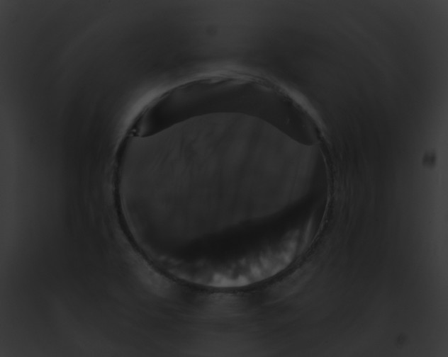 X0000091881463200710031111