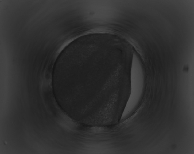 X0000091881465200710031111