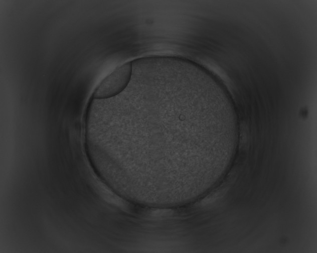 X0000091881467200710031111