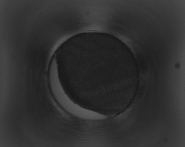 X0000091881469200710031111