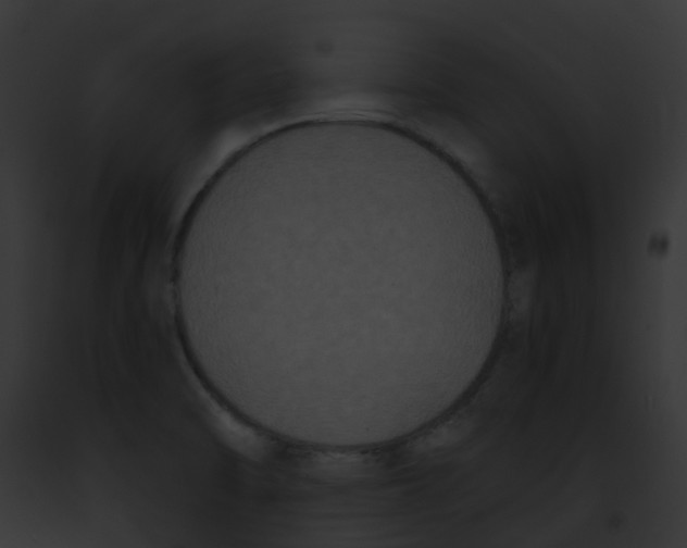 X0000091881470200710031111