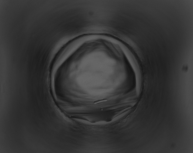 X0000091881472200710031111