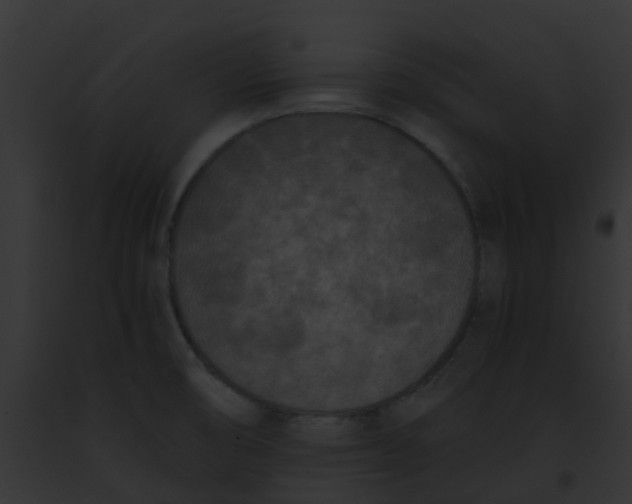 X0000091881474200710031111