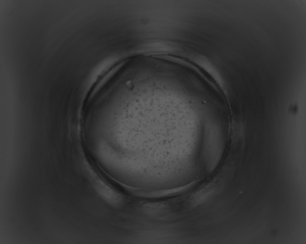 X0000091881477200710031111