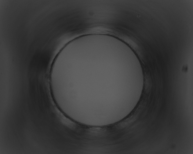 X0000091881478200710031111