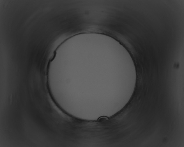 X0000091881479200710031111