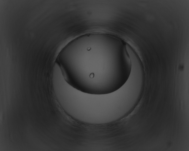 X0000091881481200710031111