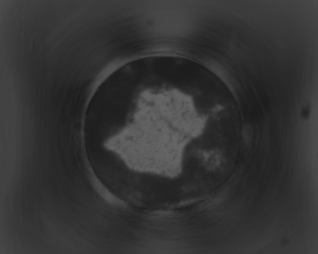 X0000091881482200710031111