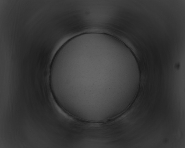 X0000091881484200710031111