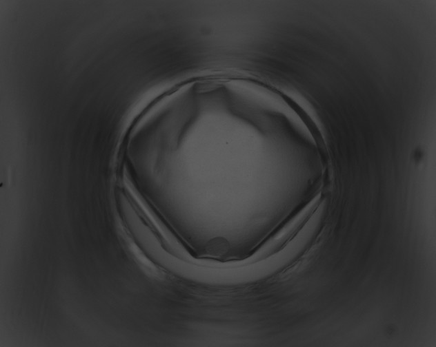 X0000091881485200710031111