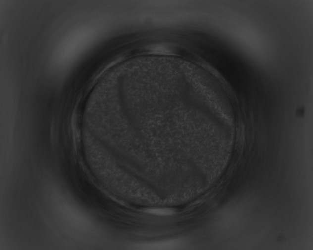 X0000091881487200710031111