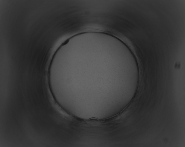 X0000091881488200710031111