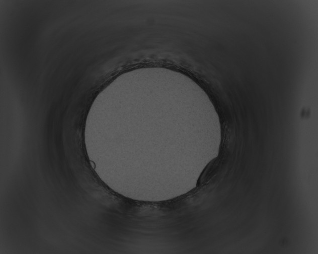 X0000091881489200710031110