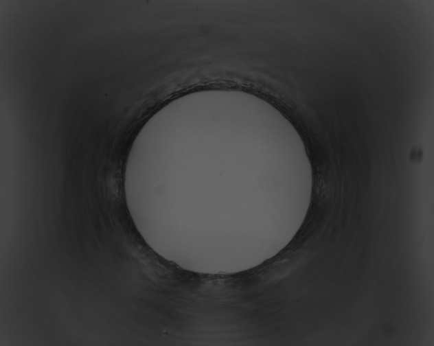 X0000091881490200710031110