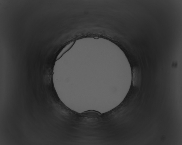 X0000091881491200710031110