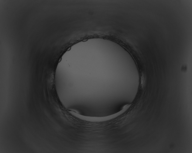 X0000091881492200710031110