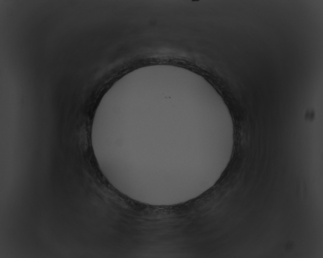 X0000091881493200710031110