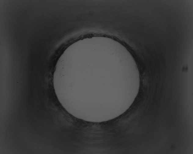 X0000091881495200710031110