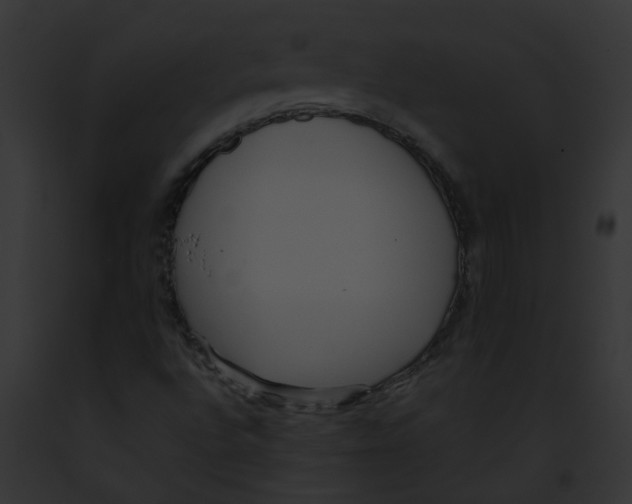 X0000091881496200710031110