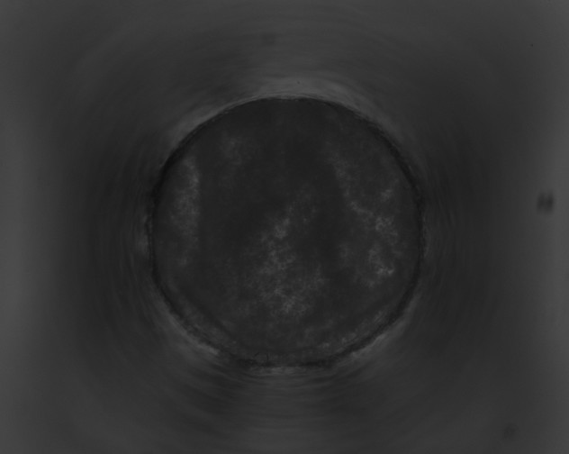 X0000091881497200710031110