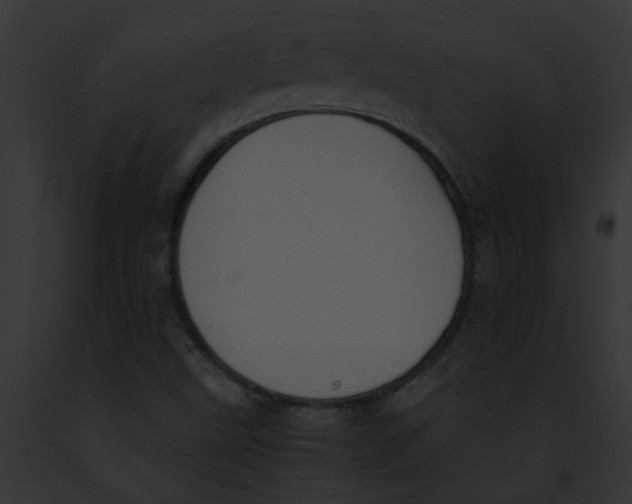 X0000091881499200710031110