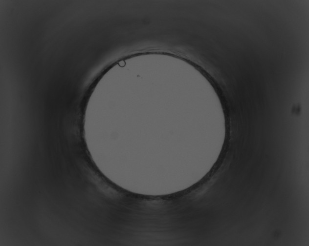 X0000091881502200710031110