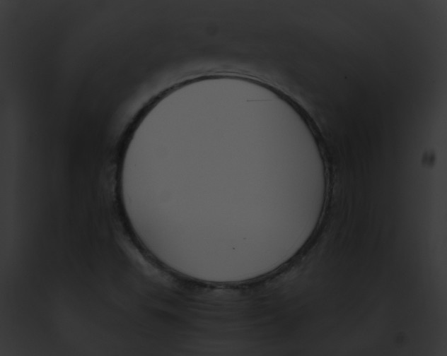 X0000091881503200710031110