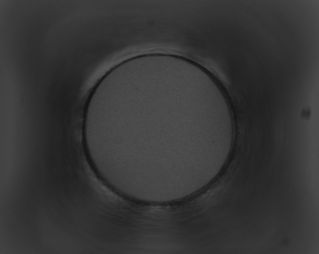 X0000091881504200710031110