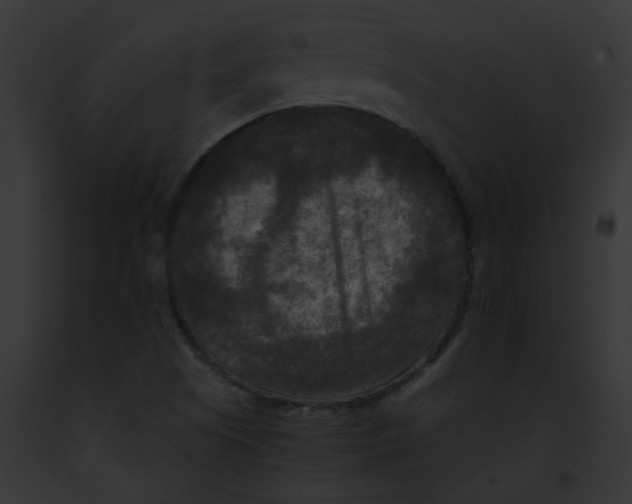 X0000091881505200710031110