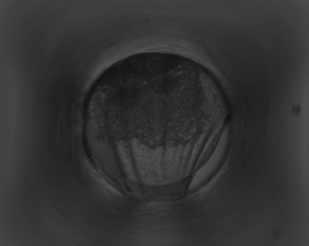 X0000091881506200710031110