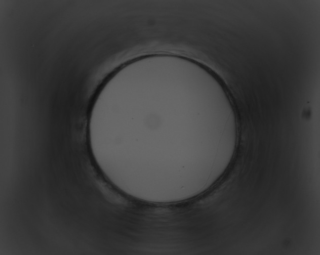 X0000091881507200710031110