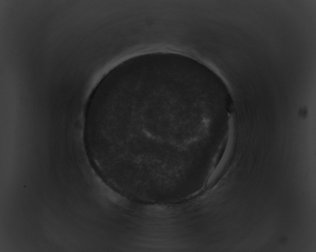 X0000091881508200710031110