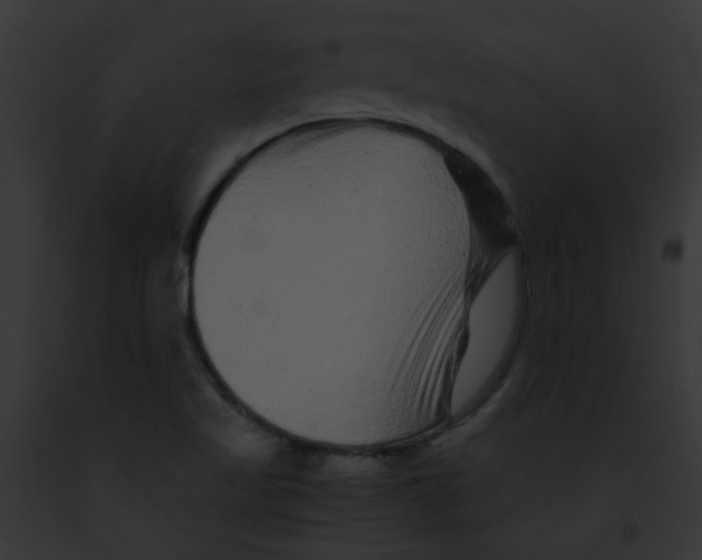 X0000091881509200710031110