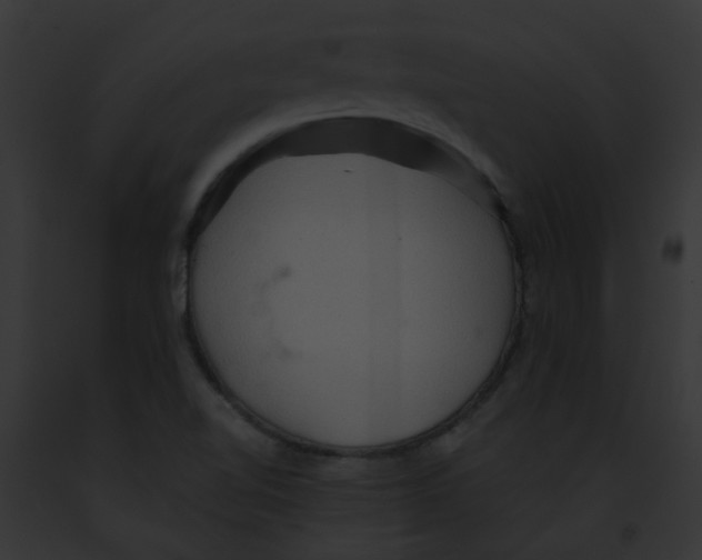 X0000091881510200710031110