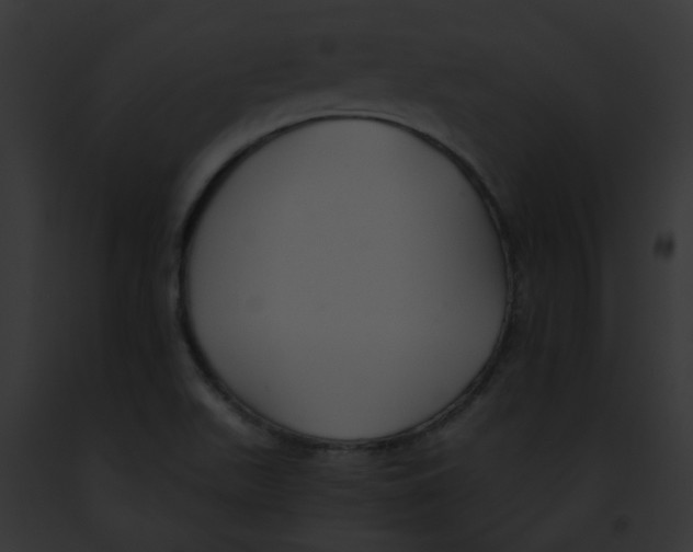 X0000091881511200710031110