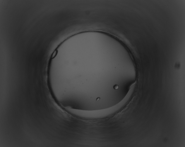 X0000091881512200710031110