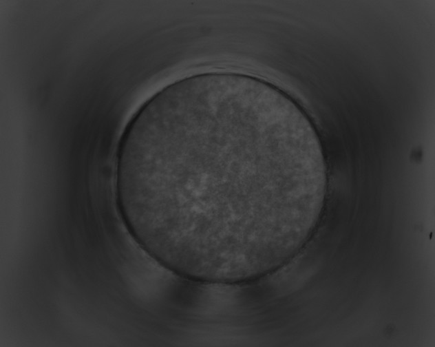 X0000091881514200710031110