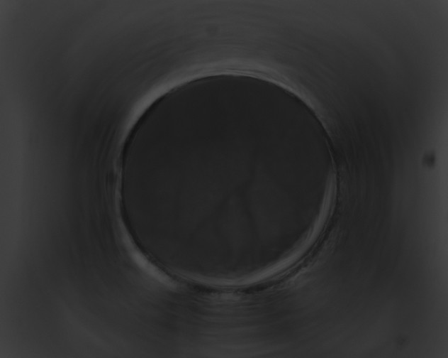 X0000091881515200710031110