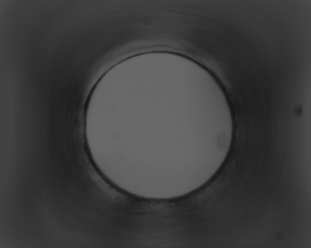 X0000091881516200710031110