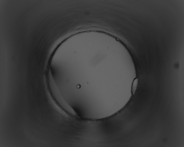 X0000091881518200710031110