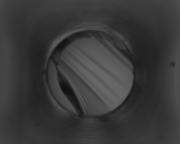 X0000091881520200710031110