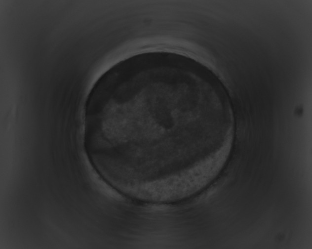 X0000091881522200710031111