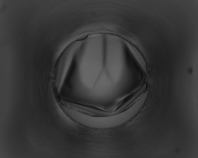 X0000091881524200710031111