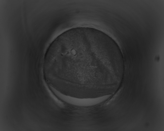 X0000091881525200710031111